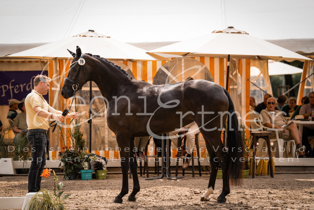 4.Fr00071 | Leoni Ertmer Photography - Realisiert mit Pictrs.com