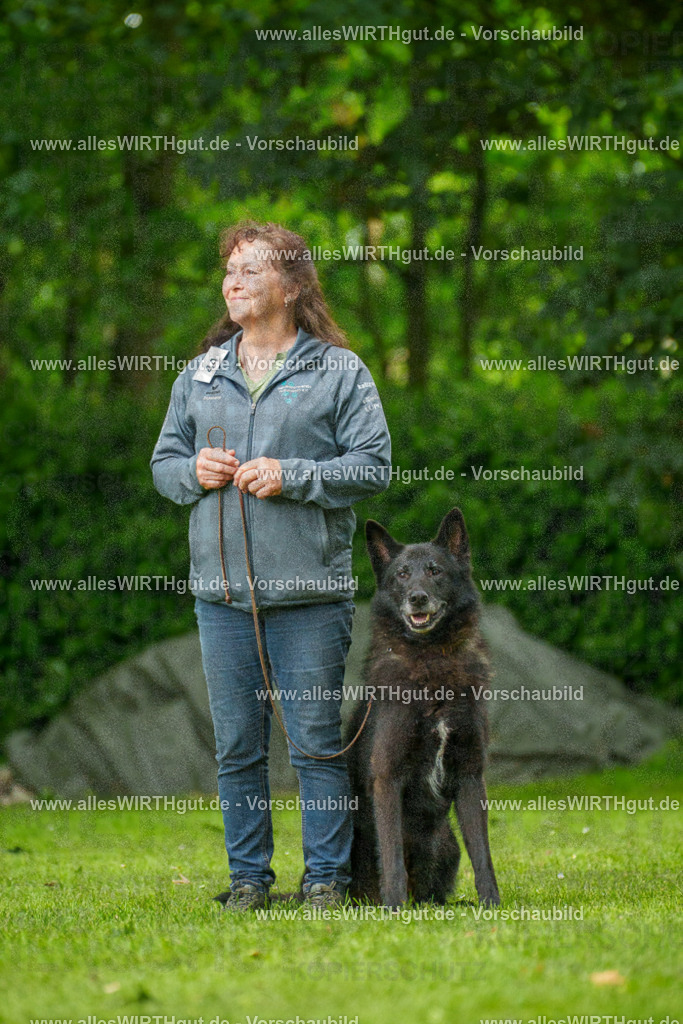 @allesWIRTHgut_Tierfotografie - www.allesWIRTHgut.de - 135355-7R500151 | Professionelle Tierfotografie in Mönchengladbach von Daniel Wirth (allesWIRTHgut). Liebevolle & natürliche Bilder von Hunden & Katzen für unvergessliche Erinnerungen.
