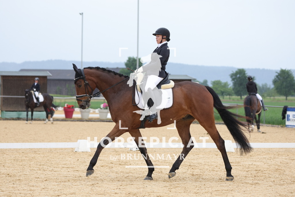 0P6A0520 | Willkommen bei Brunnmayr - Design & Fotografie – Ihrem Spezialisten für Reitturniere und Pferdeveranstaltungen in Oberösterreich, Salzburg und Bayern! Seit über 17 Jahren sind wir leidenschaftlich dabei.