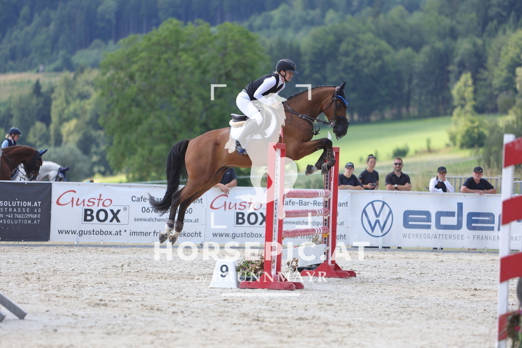 0P6A0121 | Willkommen bei Brunnmayr - Design & Fotografie – Ihrem Spezialisten für Reitturniere und Pferdeveranstaltungen in Oberösterreich, Salzburg und Bayern! Seit über 17 Jahren sind wir leidenschaftlich dabei.