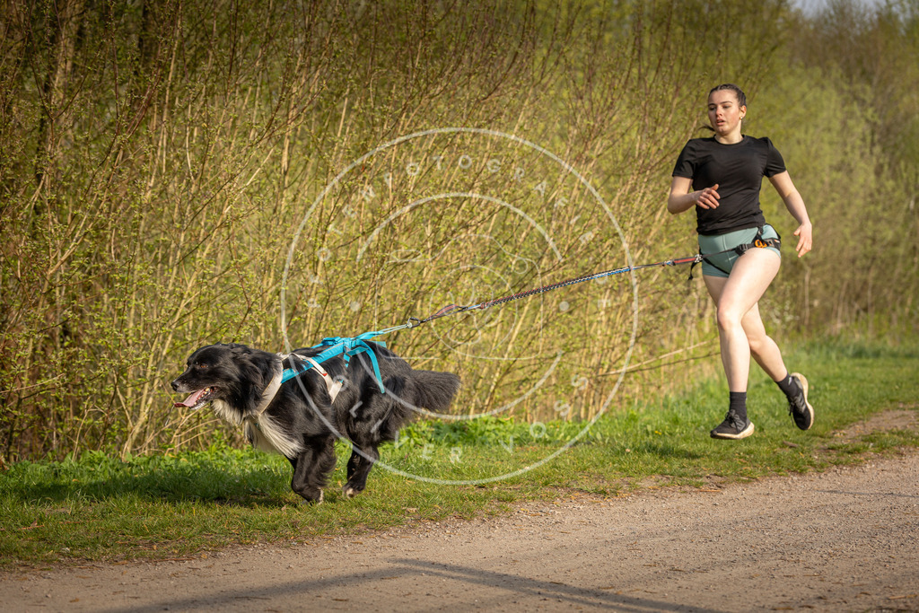 Pfotenfotografie_DV3A4660 | Hundefotografie, Tierfotograf, Pfotenfotografie, Fotoshooting Hund, Hunde Portrait, Hundesport, Hundeportraits, Heideshooting, Hunde, Sportfotograf, Hundefotograf, Turnierhundsport, THS,  - Realisiert mit Pictrs.com