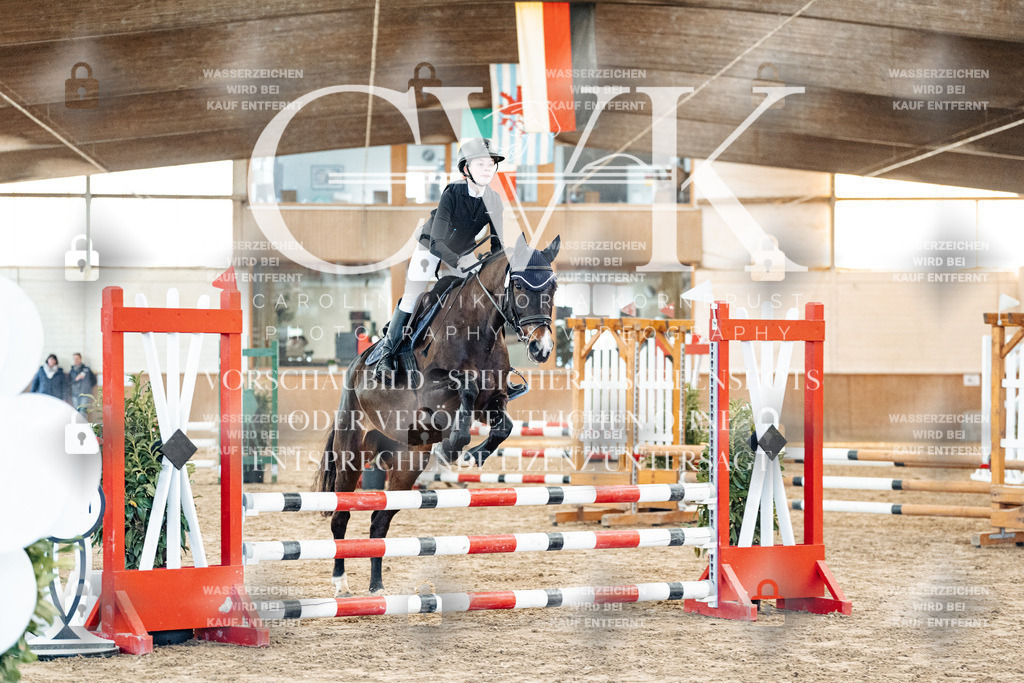 CK903784 | Turnierfotografie Pferdefotografie Trier Rheinland-Pfalz Pferdesport Reitsport Tierfotografie Sportfotografie Pferdevideo Pferdevideografie Equestrianvideography equestrianphotography  - Realisiert mit Pictrs.com