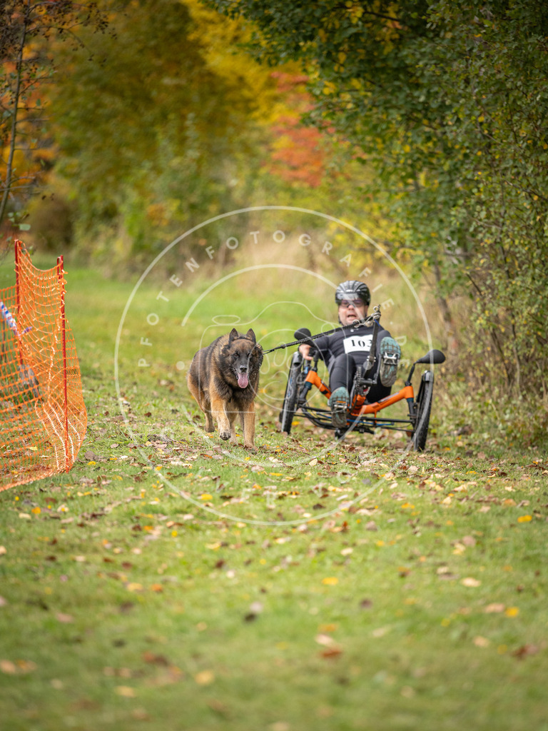 Pfotenfotografie_DV3A3522 | Hundefotografie, Tierfotograf, Pfotenfotografie, Fotoshooting Hund, Hunde Portrait, Hundesport, Hundeportraits, Heideshooting, Hunde, Sportfotograf, Hundefotograf, Turnierhundsport, THS,  - Realisiert mit Pictrs.com