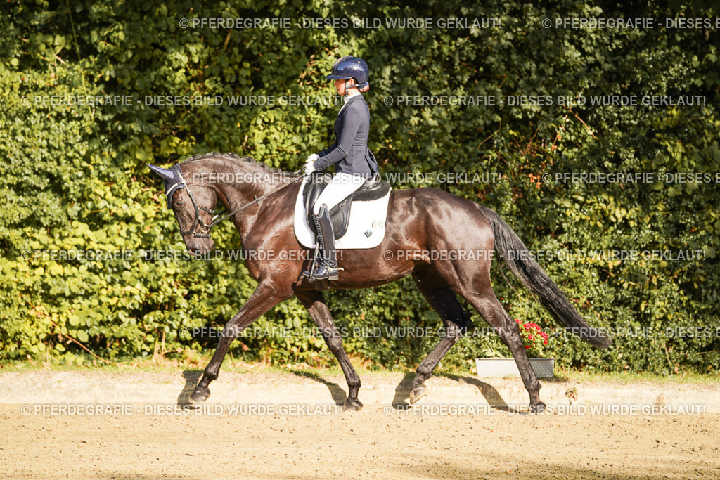 DSC06196 | Pferdegrafie