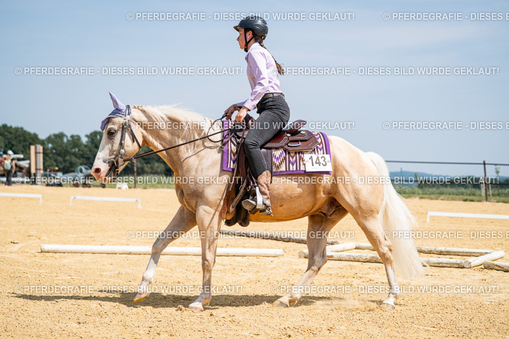 DSC01176 | Pferdegrafie