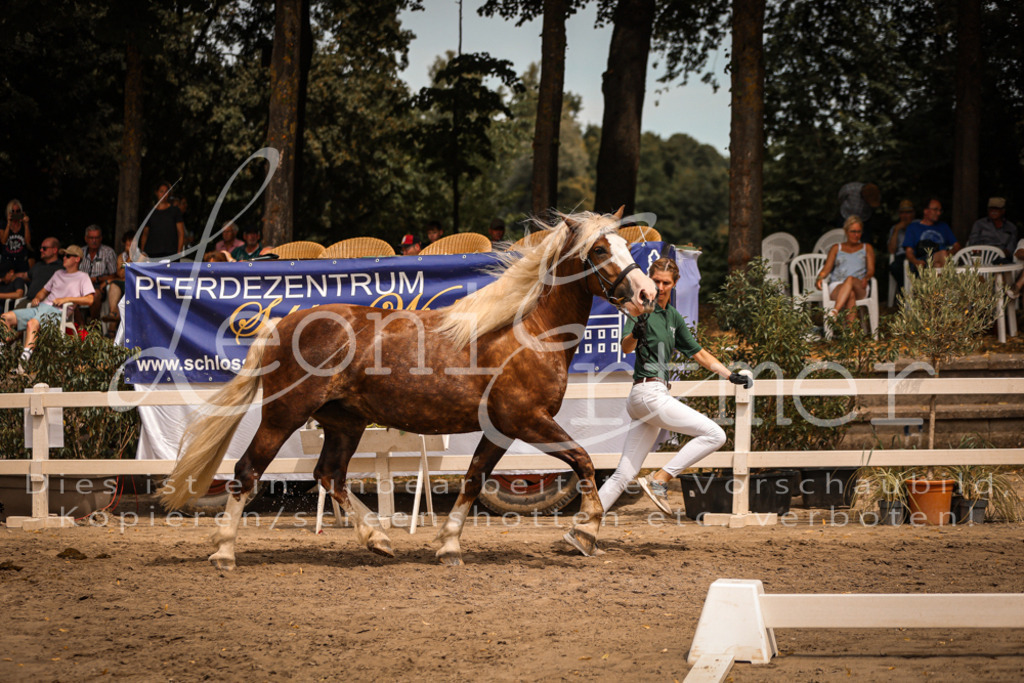 5.Sa00026 | Leoni Ertmer Photography - Realisiert mit Pictrs.com