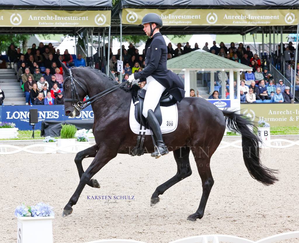 1B3A7786 | Reitsport Reiten