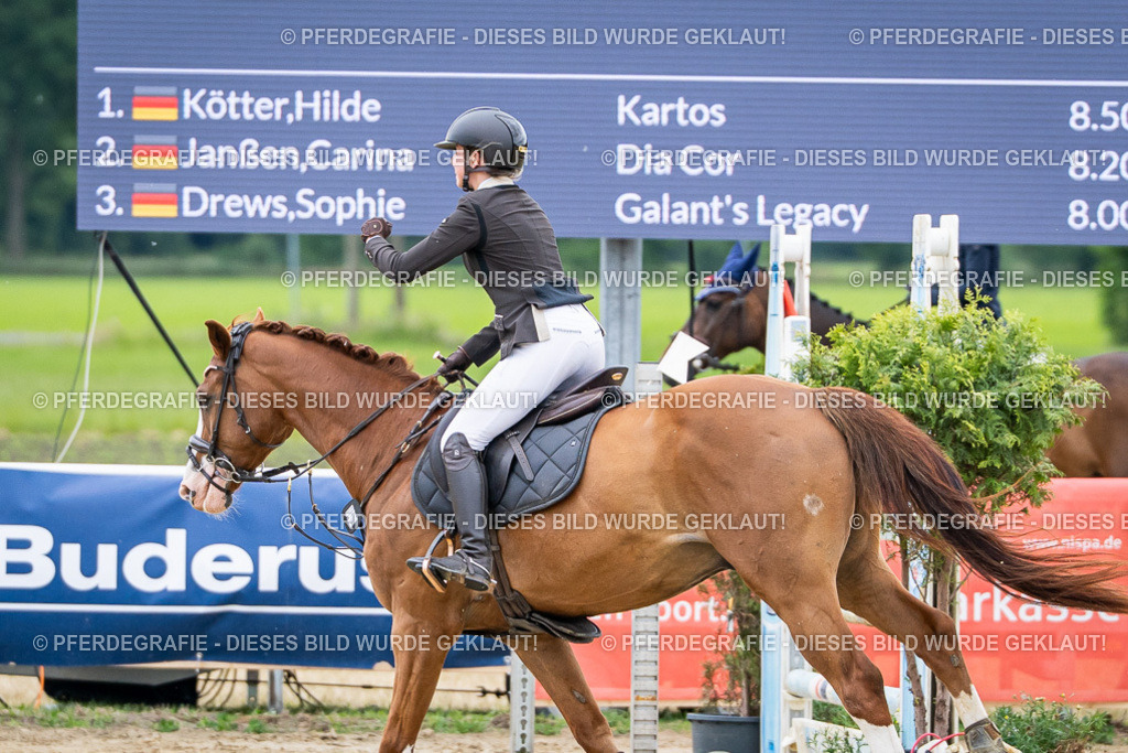 DSC04510 | Pferdegrafie