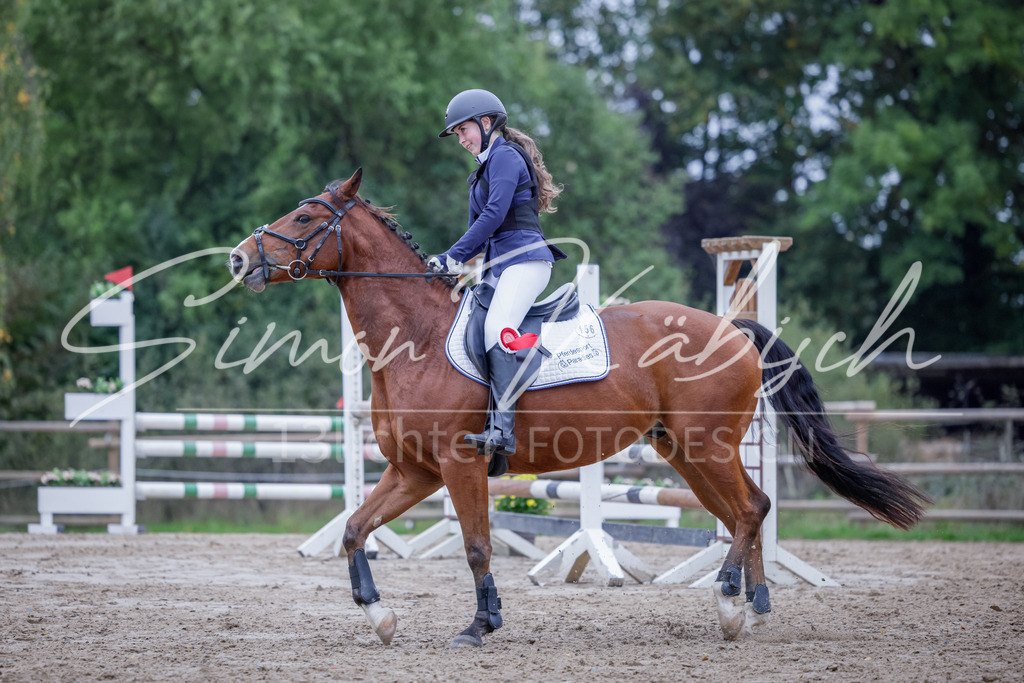 20251012-_3LI3134 | Tierfotografie Pferde, Hunde, Katzen, Haustiere.
Turnierfotografie Reitturniere, Reiten, Springreiten, Dressur in Hanau, dem Main-Kinzig-Kreis und dem Rhein-Main- Gebiet um Frankfurt