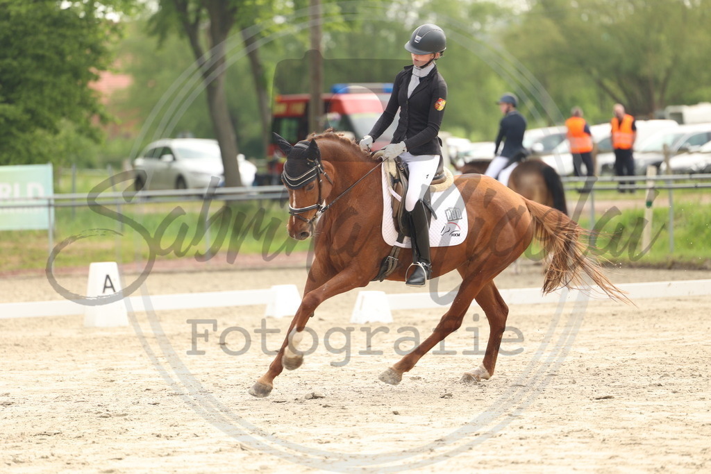 994A6269 | sabrinanicolaifotografie - Realisiert mit Pictrs.com