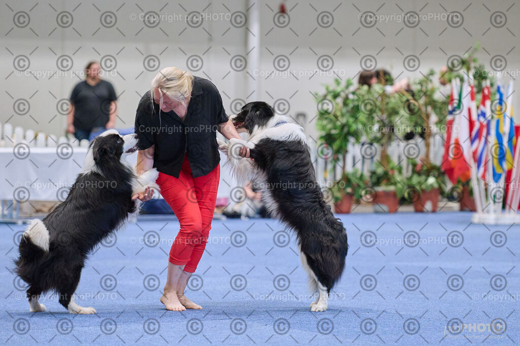 202406_ÖKV-IHA-Tulln24_DSC_4367 | proPHOTO - Realisiert mit Pictrs.com