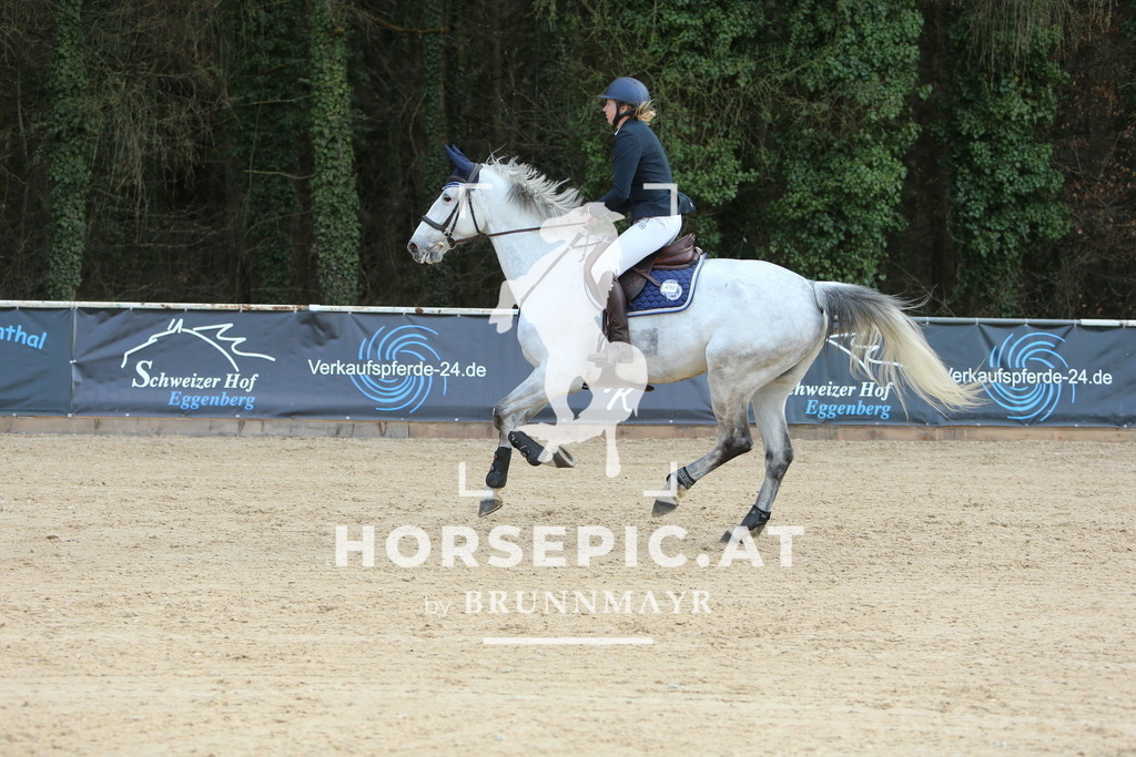 DL2Q0638 | Willkommen bei Brunnmayr - Design & Fotografie – Ihrem Spezialisten für Reitturniere und Pferdeveranstaltungen in Oberösterreich, Salzburg und Bayern! Seit über 17 Jahren sind wir leidenschaftlich dabei.