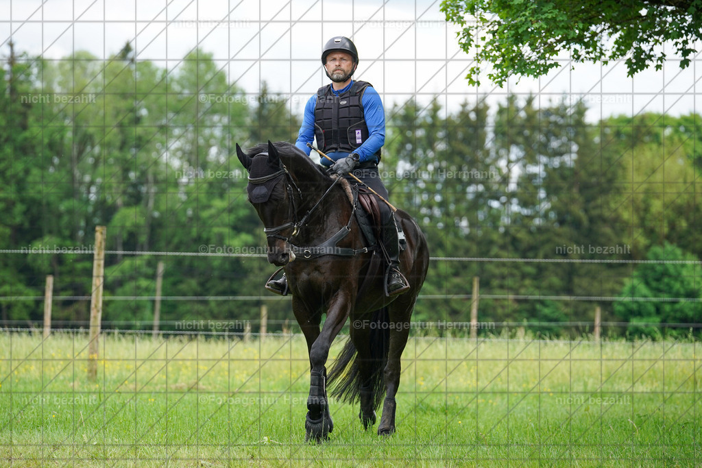 20240518-FAH03983 | Turnierbilder von Niederseon, Turnierfotografen Bayern, Fotoagentur Herrmann, Geländebilder, Reitsportfotografie