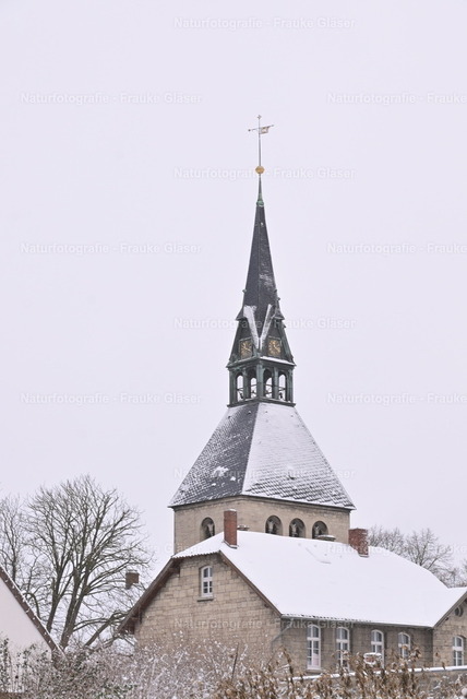 Dezember | Naturfotografie Frauke Gläser - Realisiert mit Pictrs.com