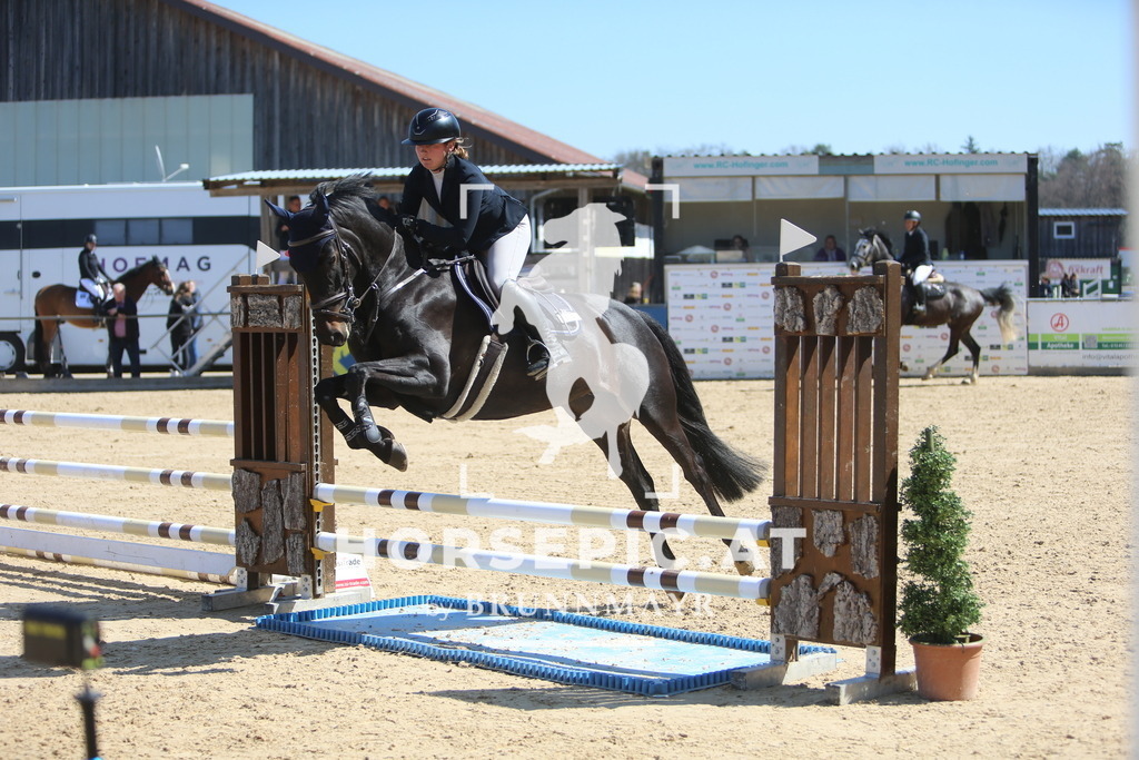 DL2Q9935 | Willkommen bei Brunnmayr - Design & Fotografie – Ihrem Spezialisten für Reitturniere und Pferdeveranstaltungen in Oberösterreich, Salzburg und Bayern! Seit über 17 Jahren sind wir leidenschaftlich dabei.