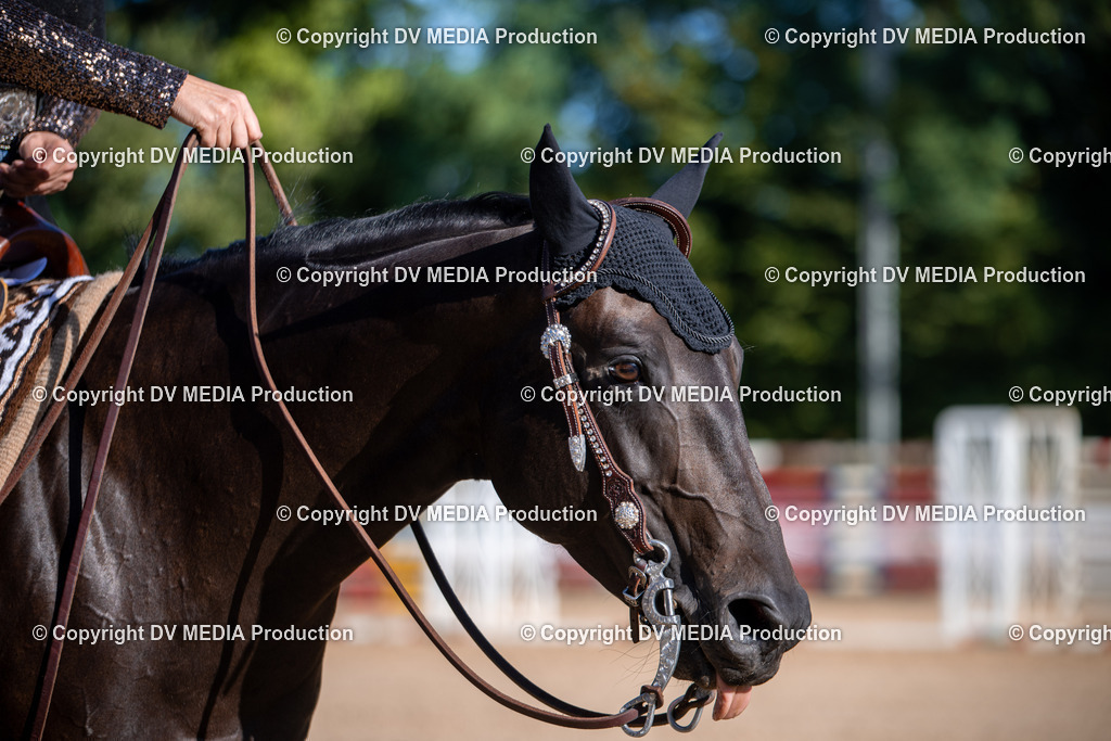 ZS1_0694 | dv-media-shop - Realisiert mit Pictrs.com