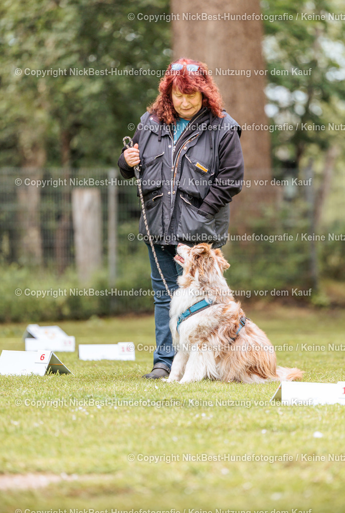 RO-Blumenthal-2026-Nickbest-Hundefotografie-3167 | Dein Hund! Dein Moment! Deine Erinnerungen! Hundefotografie in Bremen Blumenthal. Ich fange die besonderen Momente deines Vierbeiners ein – ob Indoor mit Blitzanlage oder in der freien Natur. Sicher dir dein Moment und dein Termin für eure Erinnerungen.