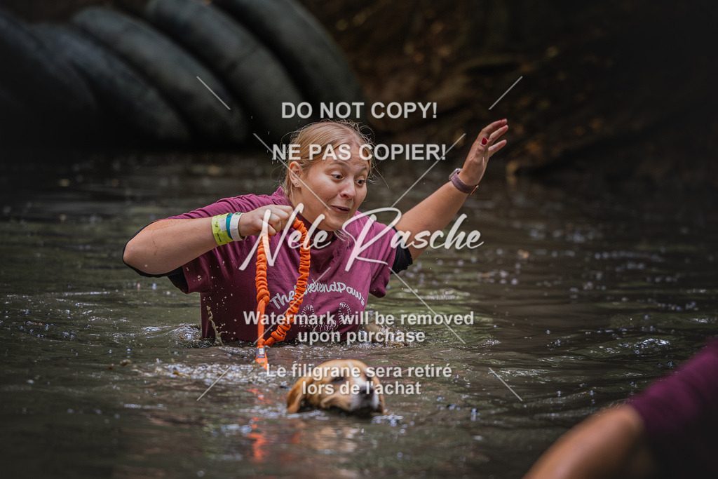 nelerasche_SaWingst1300-1400_195 | nelerasche