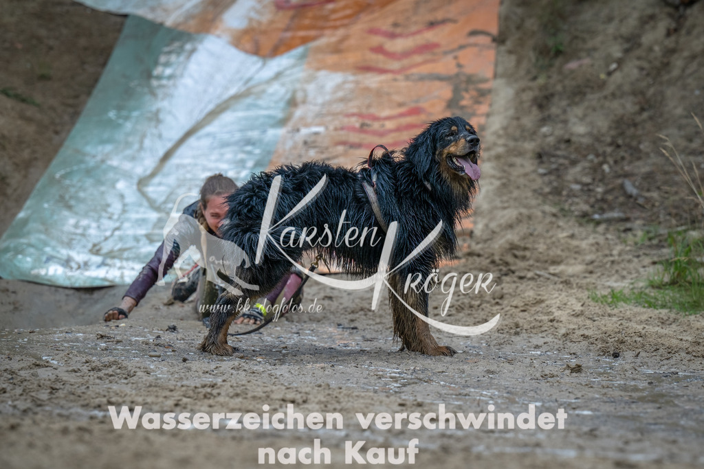 1639_ZZ92274-Bearbeitet | kk-dogfotos