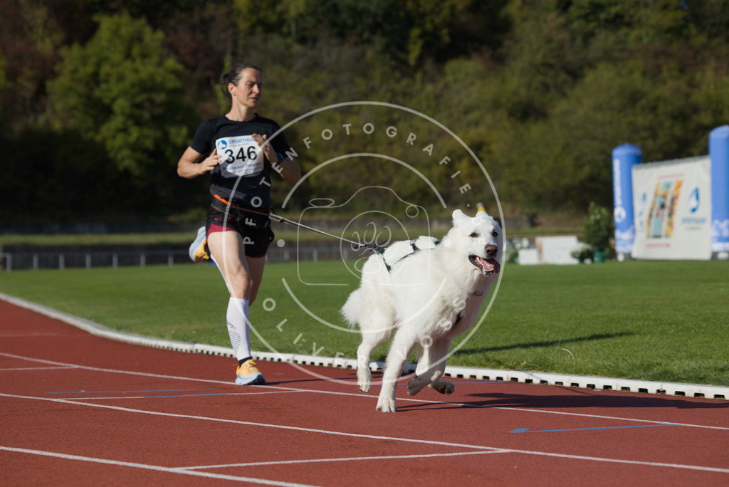 0L8A9413 | Hundefotografie, Tierfotograf, Pfotenfotografie, Fotoshooting Hund, Hunde Portrait, Hundesport, Hundeportraits, Heideshooting, Hunde, Sportfotograf, Hundefotograf, Turnierhundsport, THS,  - Realisiert mit Pictrs.com