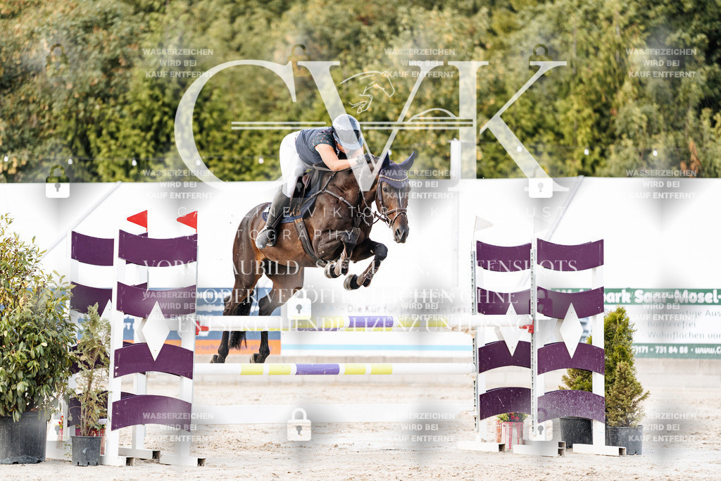 CK903733 | Turnierfotografie Pferdefotografie Trier Rheinland-Pfalz Pferdesport Reitsport Tierfotografie Sportfotografie Pferdevideo Pferdevideografie Equestrianvideography equestrianphotography  - Realisiert mit Pictrs.com