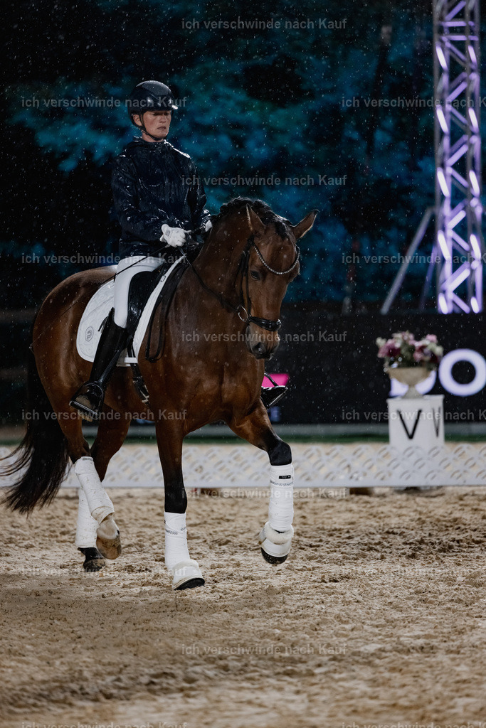 FHClassics-61 | working equitationturnier fotograf videograf stoibphotography marixx film working equitation deutschland reitsport turnierfotografie eventfotografie equestrian events