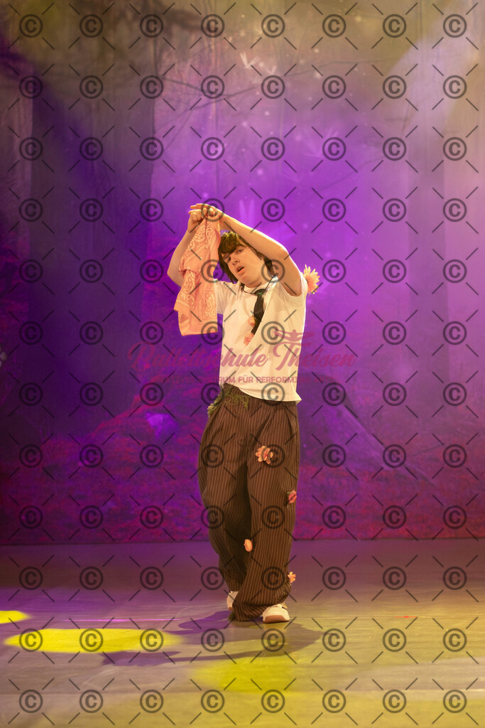Ballettaufführung-741 | Bildershop Lem'n Entertainment - Realisiert mit Pictrs.com