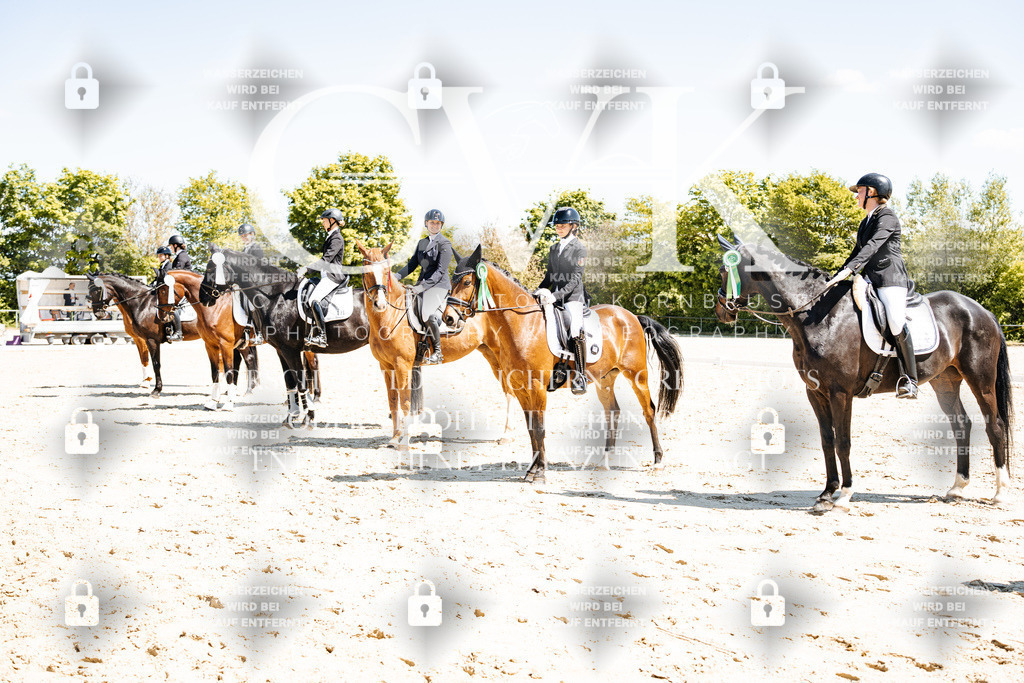 CK703551 | Turnierfotografie Pferdefotografie Trier Rheinland-Pfalz Pferdesport Reitsport Tierfotografie Sportfotografie Pferdevideo Pferdevideografie Equestrianvideography equestrianphotography  - Realisiert mit Pictrs.com
