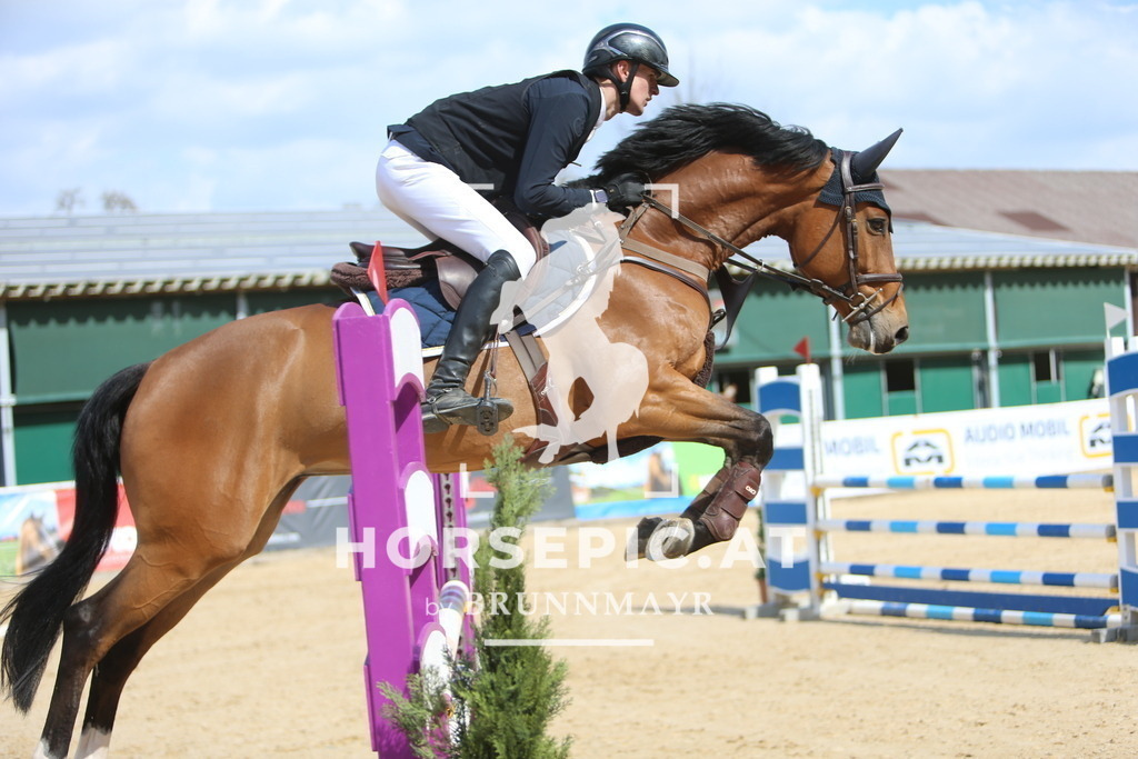 DL2Q8963 | Willkommen bei Brunnmayr - Design & Fotografie – Ihrem Spezialisten für Reitturniere und Pferdeveranstaltungen in Oberösterreich, Salzburg und Bayern! Seit über 17 Jahren sind wir leidenschaftlich dabei.