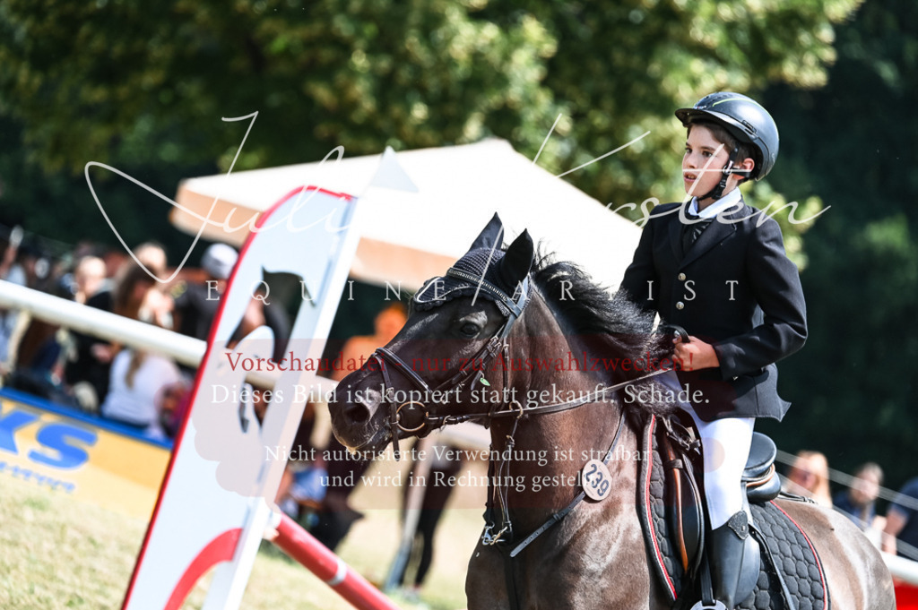 DSC_9775 | Pferde- und Turnierfotografie in Westsachsen. Pferdeportraits, Auftragszeichnungen und intuitive Kunst.