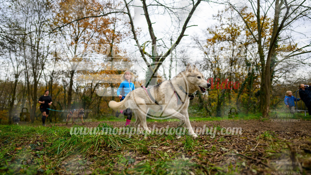 MompixPhotography_Bischwiller24_DI_CoursedeRelais-119 | PayLife