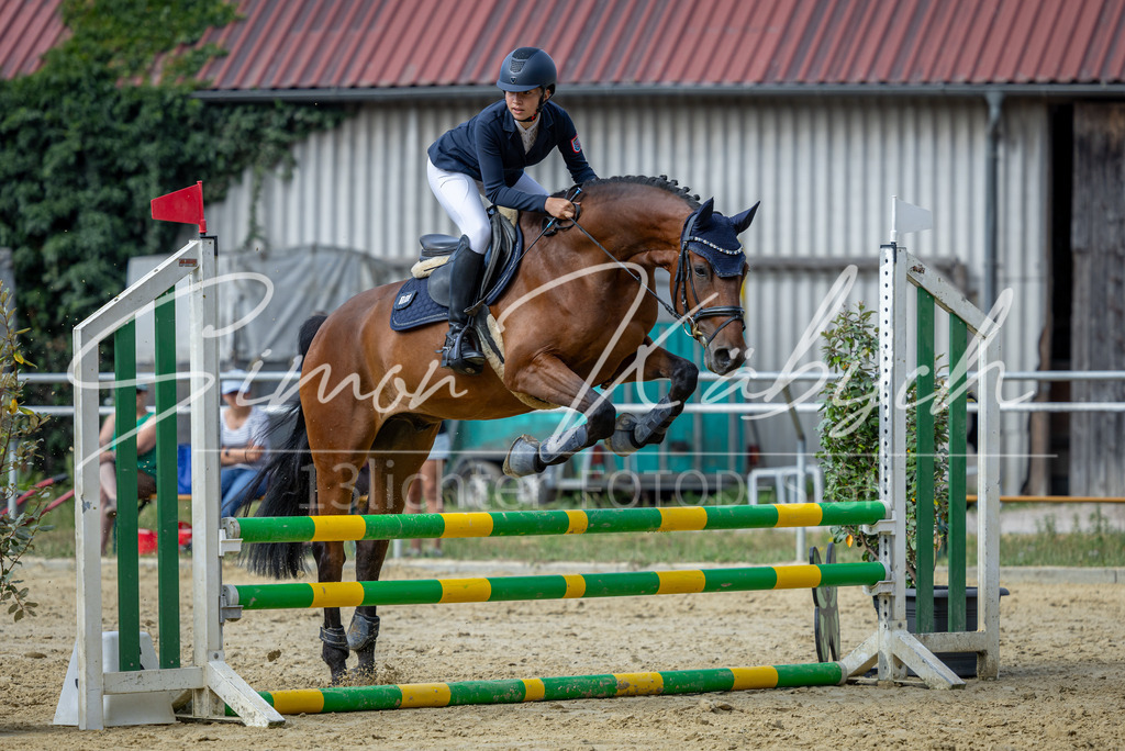 20260704-_3LI6829 | Tierfotografie Pferde, Hunde, Katzen, Haustiere.
Turnierfotografie Reitturniere, Reiten, Springreiten, Dressur in Hanau, dem Main-Kinzig-Kreis und dem Rhein-Main- Gebiet um Frankfurt