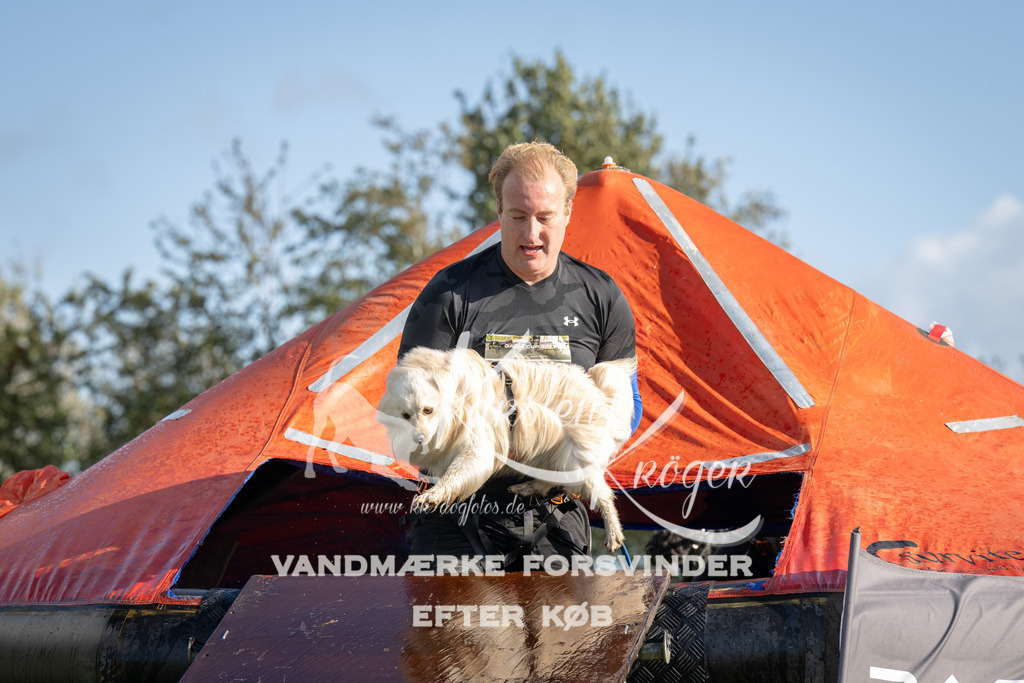 1435-94520 | kk-dogfotos