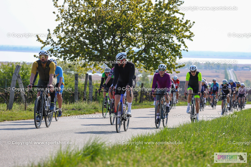 IMG_1951 | @sportshot_your_pictrs #yourpictures#roadtowm2029 #nrm #neusiedlerseeradmarathon #neusiedlersee #neusiedlerseetourismus #burgenland #mörbisch #nrm26 #burgenlandtourismus #voglundco #poweredbyburgenlandtourismus #radsport #rad #marathon #ucigranfondo #visitburgenland #ucigranfondoworldseries