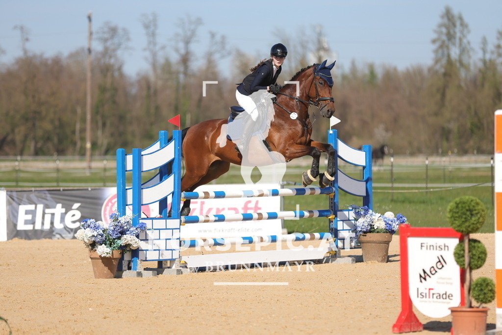 0P6A1789 | Willkommen bei Brunnmayr - Design & Fotografie – Ihrem Spezialisten für Reitturniere und Pferdeveranstaltungen in Oberösterreich, Salzburg und Bayern! Seit über 17 Jahren sind wir leidenschaftlich dabei.