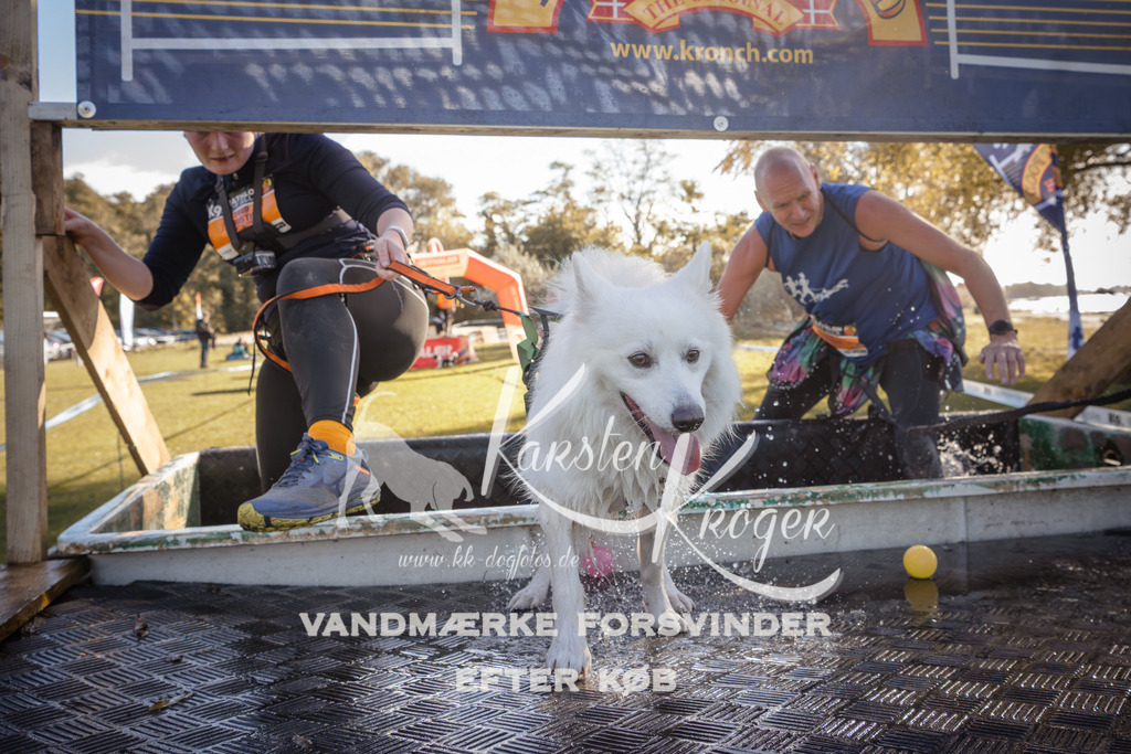 1221_ZZ95719 | kk-dogfotos