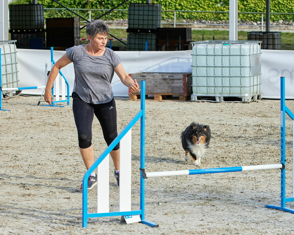 580B0011 | Peter Fridle Fotografie - Realisiert mit Pictrs.com