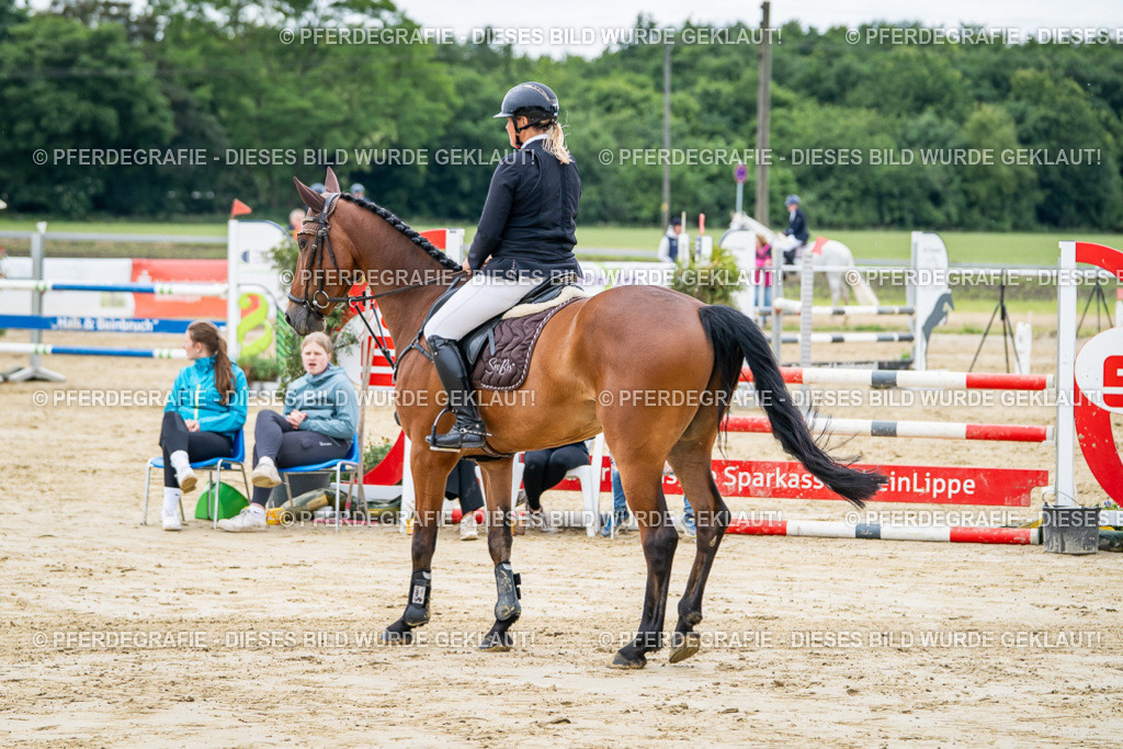 DSC05436 | Pferdegrafie