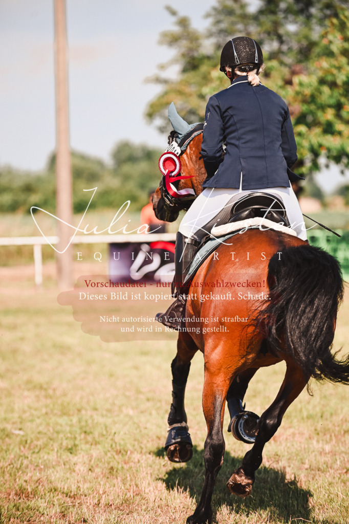 DSC_7397 | Pferde- und Turnierfotografie in Westsachsen. Pferdeportraits, Auftragszeichnungen und intuitive Kunst.