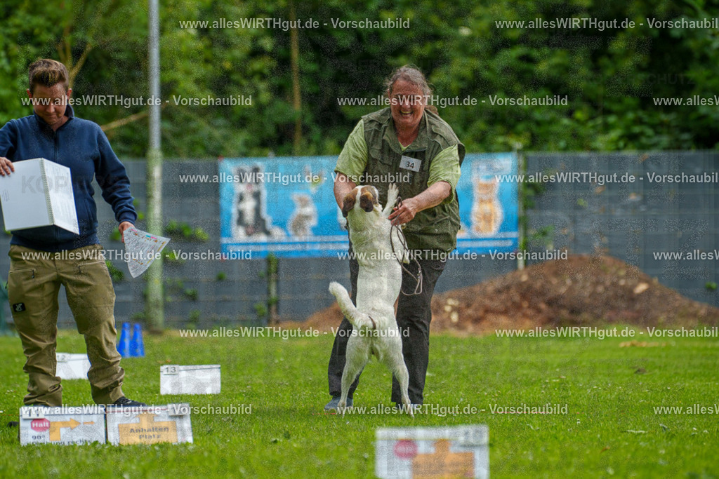 @allesWIRTHgut_Tierfotografie - www.allesWIRTHgut.de - 123251-7R509097 | Professionelle Tierfotografie in Mönchengladbach von Daniel Wirth (allesWIRTHgut). Liebevolle & natürliche Bilder von Hunden & Katzen für unvergessliche Erinnerungen.