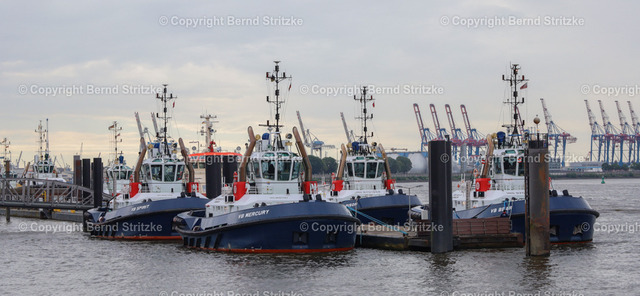 IMG_1386-2 | Hamburg Tagestour 16. Juni 2024 - Realisiert mit Pictrs.com