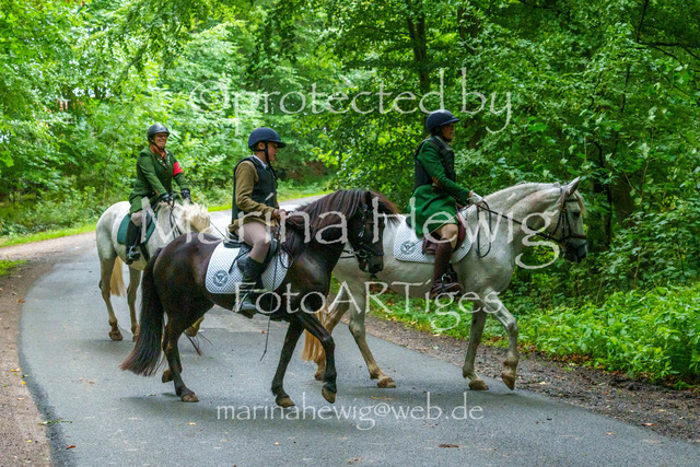 Jagd Kletkamp 26-02790_MarinaHewig | Fotografie, FotoArt, PferdesportArt, Pferdesportfotografie, Landschaftsfotografie, Reisefotografie, Reise, Pferde - Realisiert mit Pictrs.com