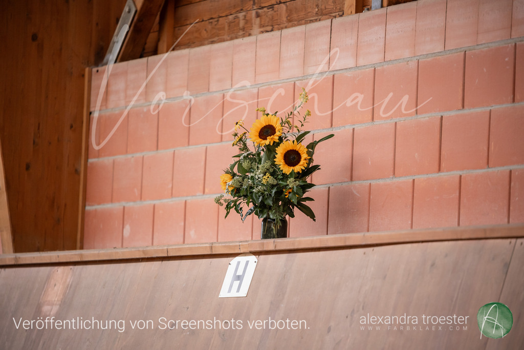 250913_Barop_09_153 | farbklaex.com