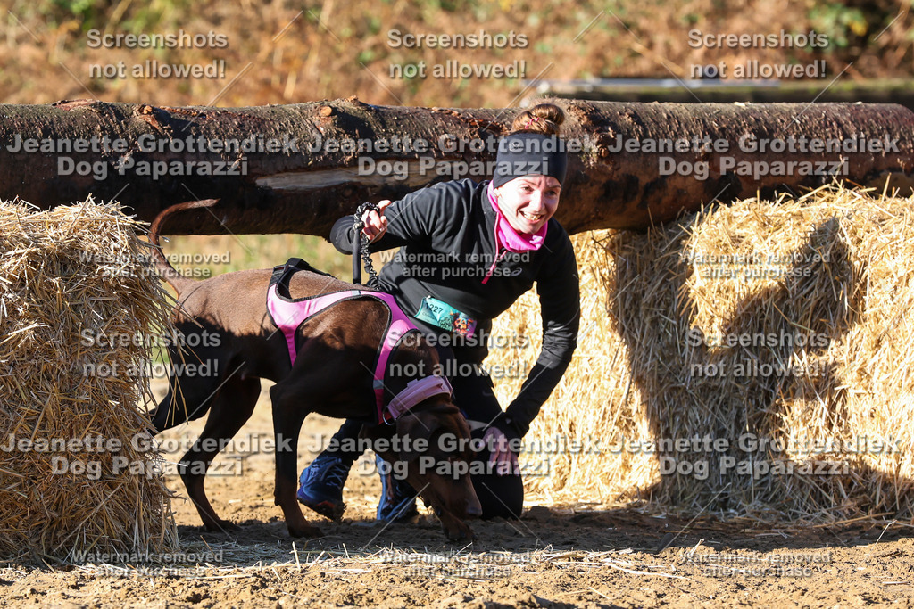 Dog Paparazzi - Strongdog 10-25-1429 | Dog Paparazzi Jeanette Grottendiek Fotografie & Videografie - Realisiert mit Pictrs.com