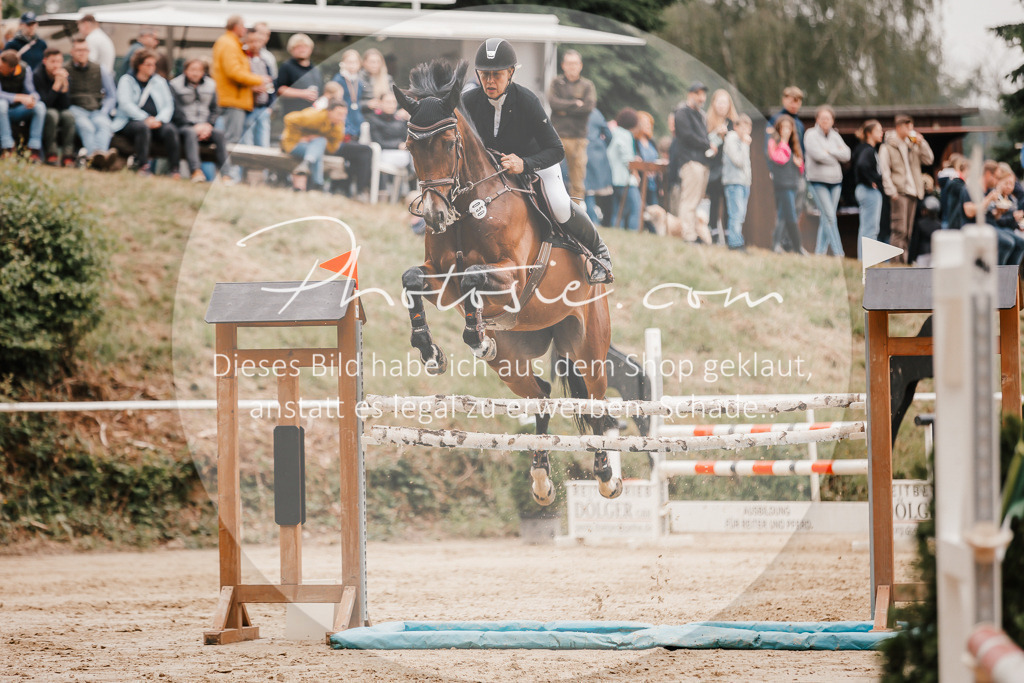 3I6A2244 | Stimmungsvolle Portraits und Reitsportfotografie im Ruhrgebiet und im Münsterland.

Pferdefotografie, Hundefotografie, Tierfotografie, Reportagen, Portraits von Tier und Mensch, Turnierfotografie in Bochum, Recklinghausen, Marl, Haltern am See, Dülmen.. - Realisiert mit Pictrs.com