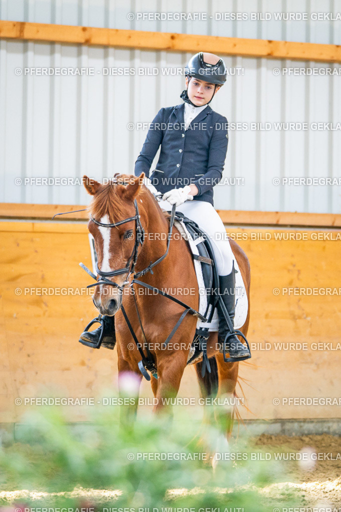 DSC02959 | Pferdegrafie