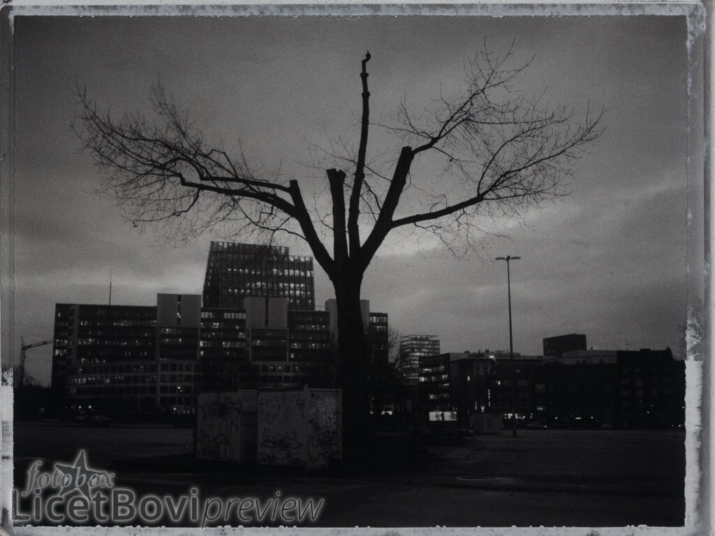 Death (Heiligengeistfeld) | Scan von Sofortbild-Negativ (Fuji FP-3000B, 2014) - Realisiert mit Pictrs.com