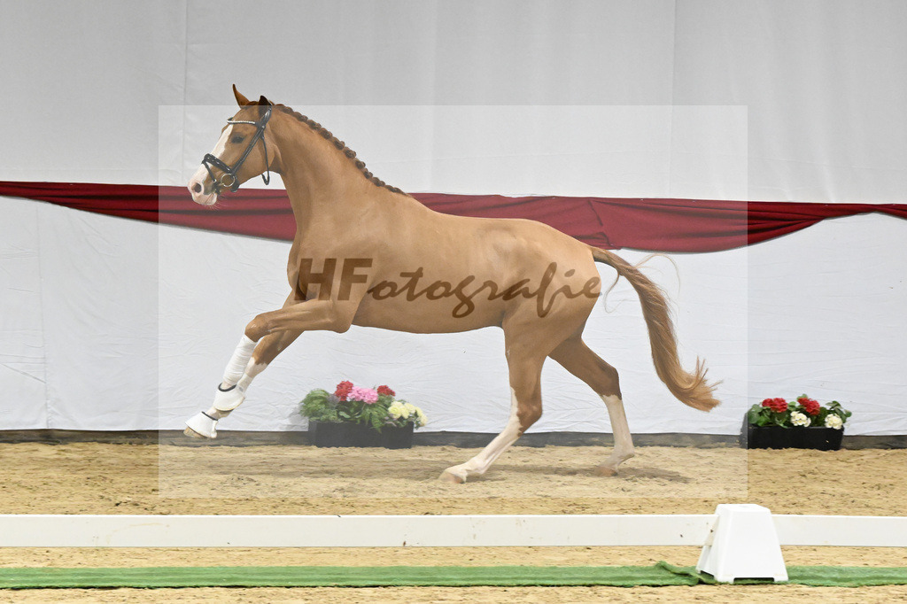 Kat-Nr. 10 v. Fuerst Samarant_Beckmann_63220050 | hf-fotografie - Realizzato con Pictrs.com