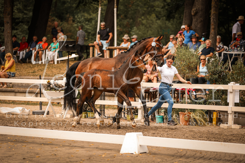 SaPA00204 | Leoni Ertmer Photography - Realisiert mit Pictrs.com