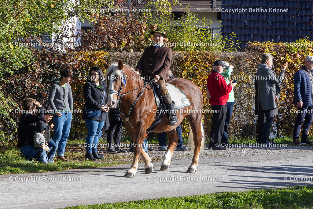 LBT24-718 | foto-bettina-krinner - Realisiert mit Pictrs.com